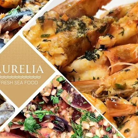 Aurelia Complex 3* Ravda